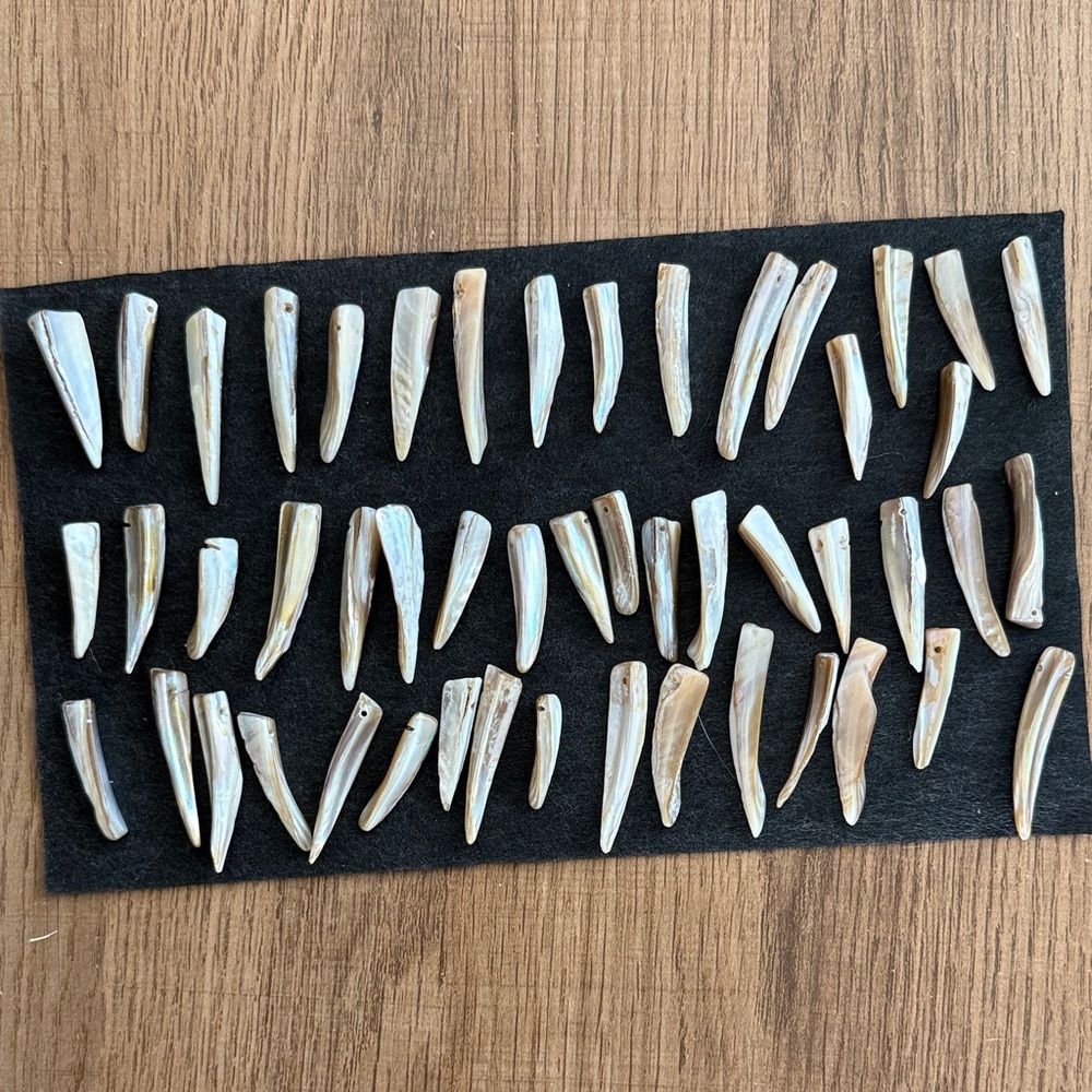 Natural Shell Tooth Beads for Crafting